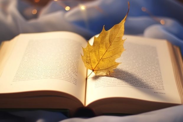 2025年高考广东物理类考生可以报成都师范学院的哪些专业?(2026参考)