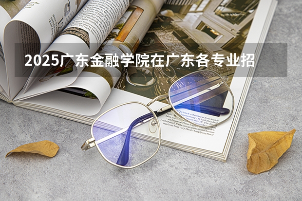 2025广东金融学院在广东各专业招生人数介绍（2026参考）