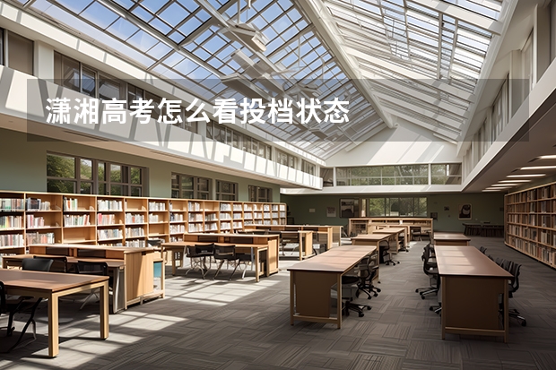 潇湘高考怎么看投档状态