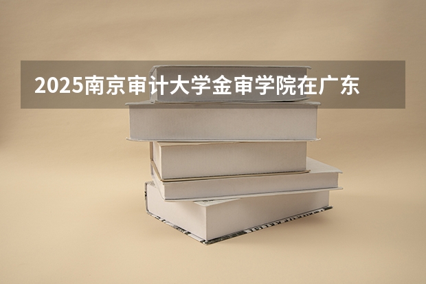 2025南京审计大学金审学院在广东各专业招生人数介绍（2026参考）
