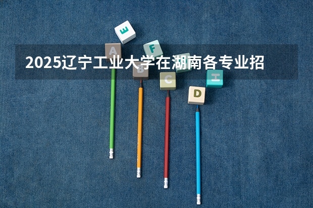 2025辽宁工业大学在湖南各专业招生人数介绍（2026参考）