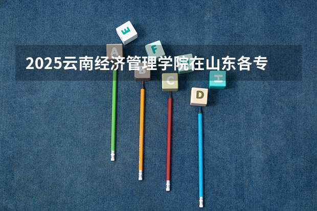 2025云南经济管理学院在山东各专业招生人数介绍（2026参考）