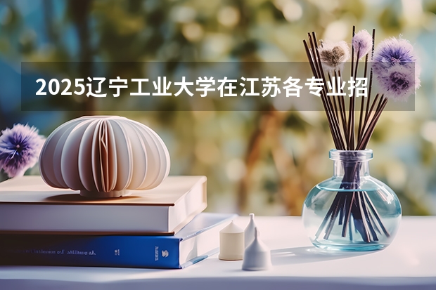 2025辽宁工业大学在江苏各专业招生人数汇总（2026参考）