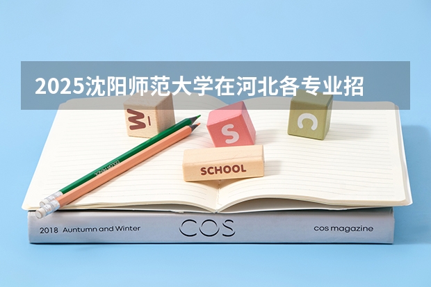 2025沈阳师范大学在河北各专业招生人数汇总（2026参考）