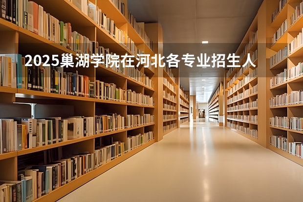 2025巢湖学院在河北各专业招生人数汇总（2026参考）