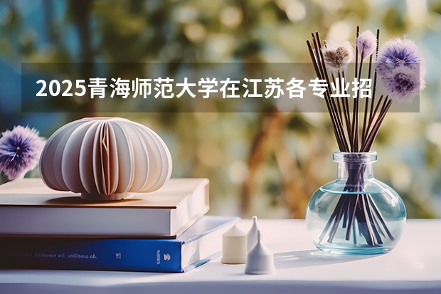 2025青海师范大学在江苏各专业招生人数汇总（2026参考）
