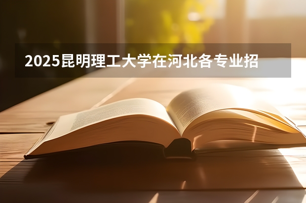 2025昆明理工大学在河北各专业招生人数汇总（2026参考）
