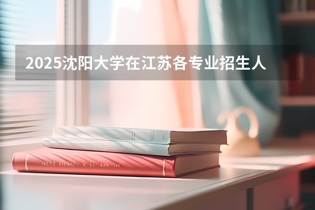 2025沈阳大学在江苏各专业招生人数汇总（2026参考）