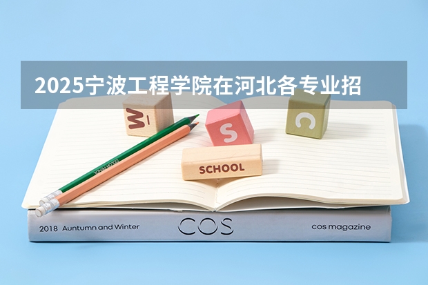2025宁波工程学院在河北各专业招生人数汇总（2026参考）