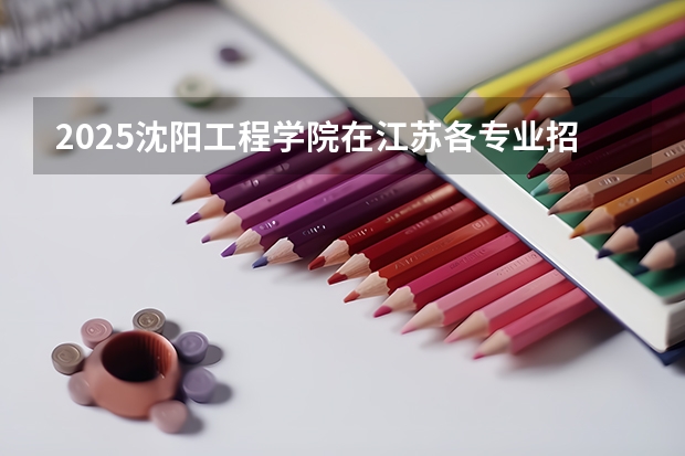 2025沈阳工程学院在江苏各专业招生人数汇总（2026参考）