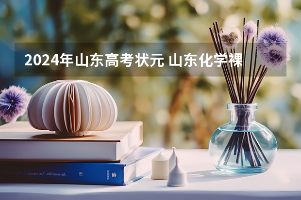2024年山东高考状元 山东化学裸分最高分