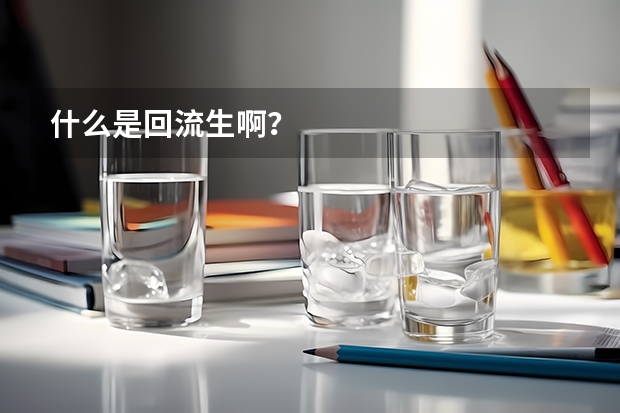 什么是回流生啊？