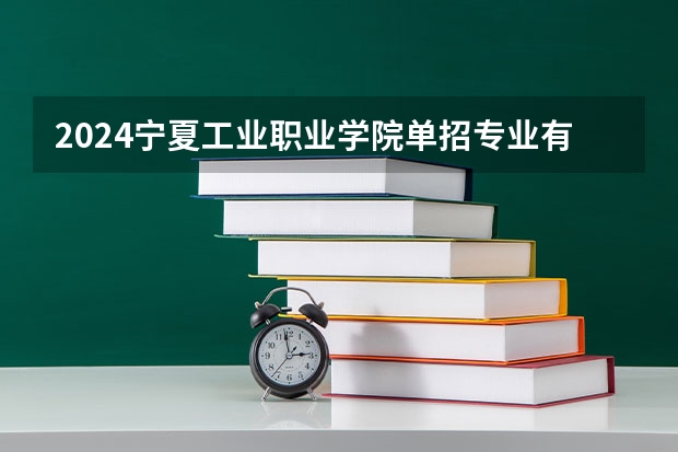 2024宁夏工业职业学院单招专业有哪些？