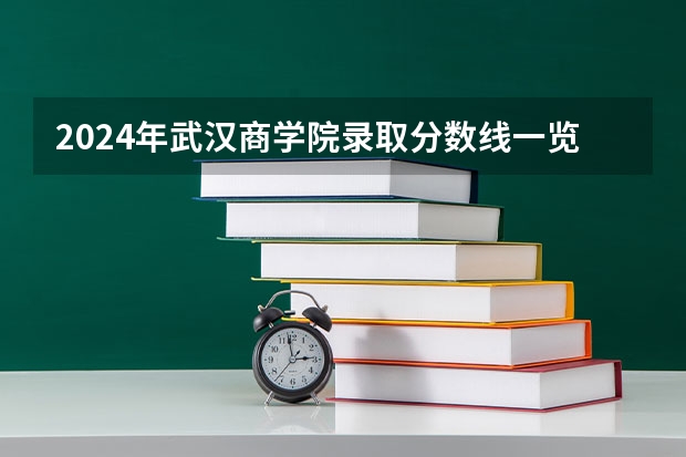 2024年武汉商学院录取分数线一览表