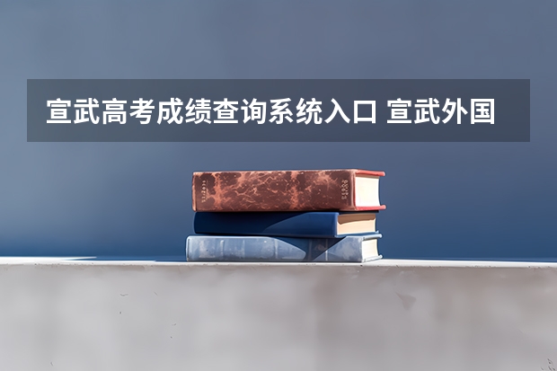宣武高考成绩查询系统入口 宣武外国语高考升学率