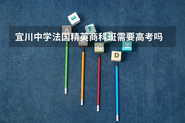 宜川中学法国精英商科班需要高考吗