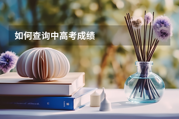 如何查询中高考成绩