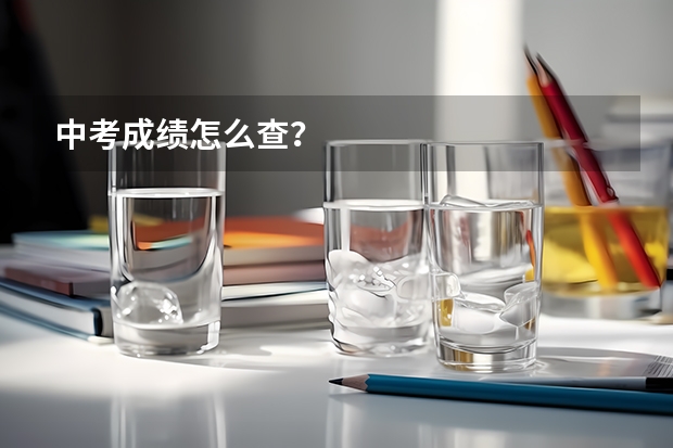 中考成绩怎么查？