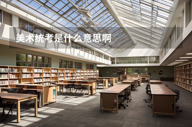 美术统考是什么意思啊