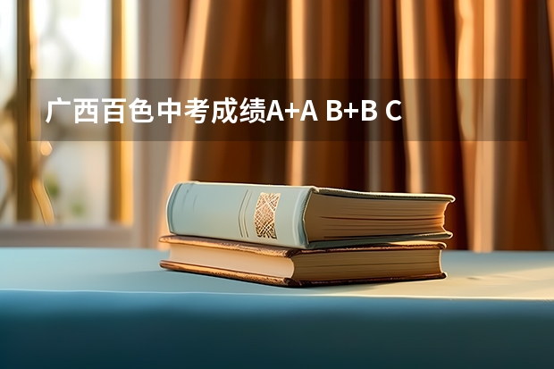 广西百色中考成绩A+A B+B C+C的各层次分数接段是多少？？？？？？