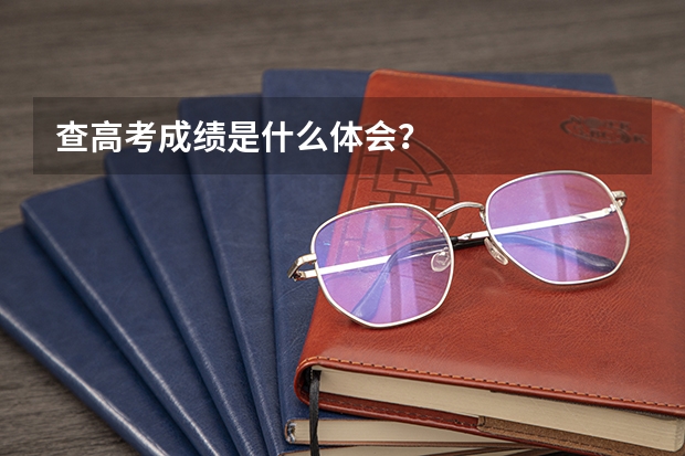 查高考成绩是什么体会？