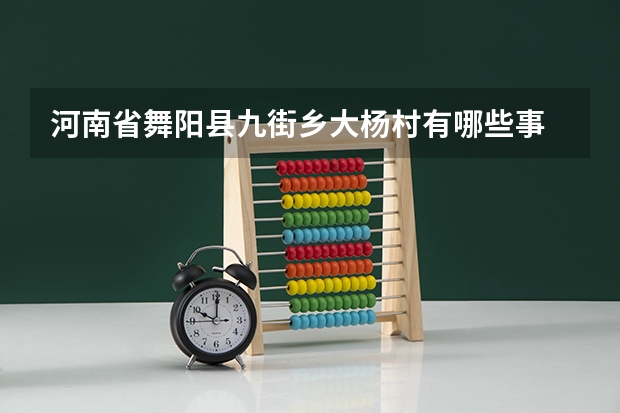 河南省舞阳县九街乡大杨村有哪些事
