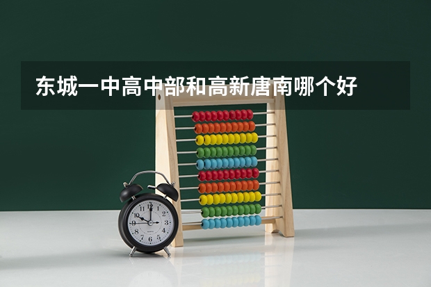 东城一中高中部和高新唐南哪个好