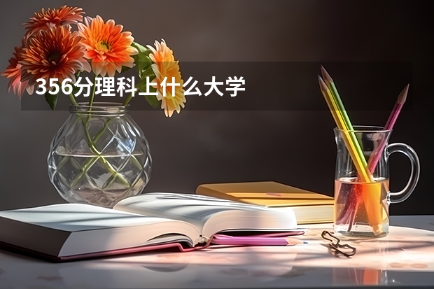 356分理科上什么大学