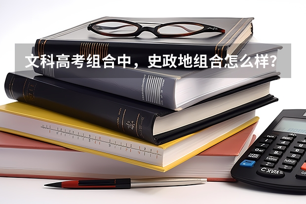 文科高考组合中，史政地组合怎么样？