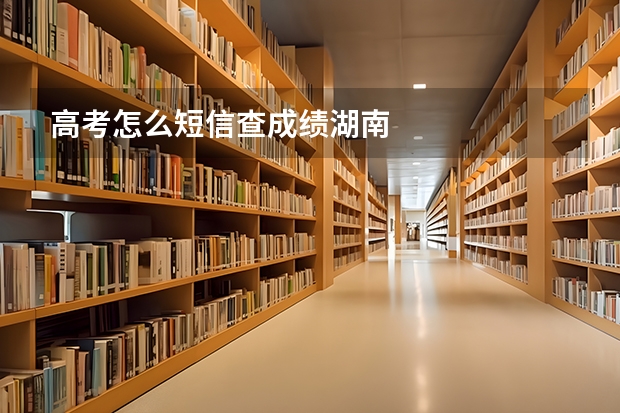 高考怎么短信查成绩湖南
