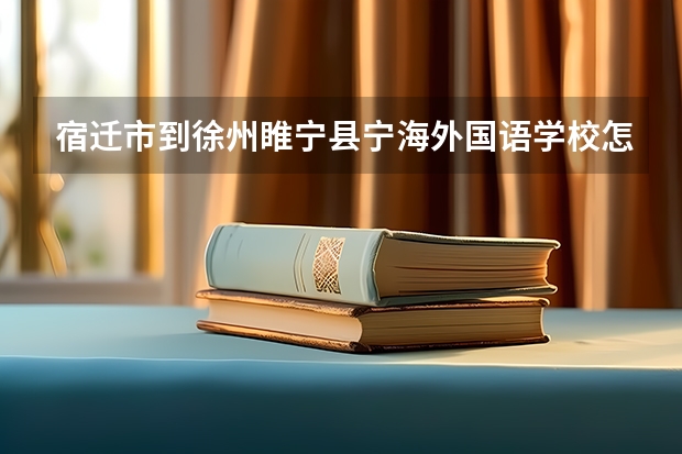 宿迁市到徐州睢宁县宁海外国语学校怎么坐车。