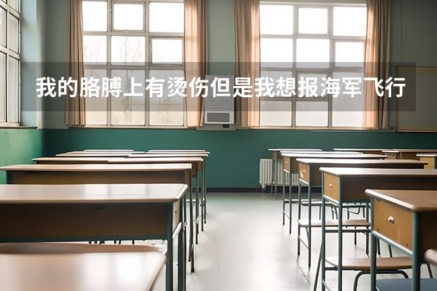 我的胳膊上有烫伤但是我想报海军飞行员可以吗？其他条件很好啊