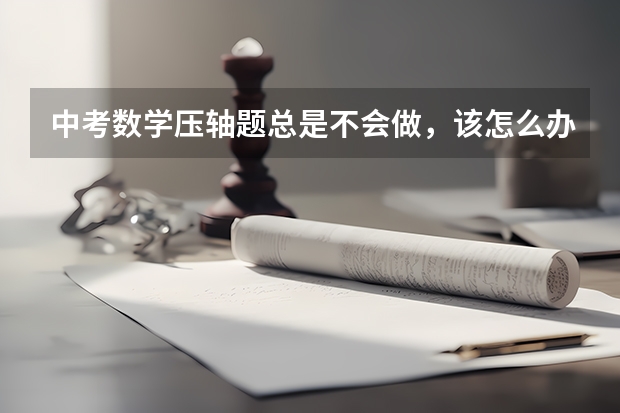 中考数学压轴题总是不会做，该怎么办