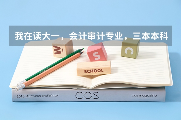 我在读大一，会计审计专业，三本本科学校，想出国考研，建议去哪个国家？最好是说英语的国家，什么学校