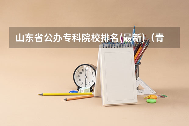 山东省公办专科院校排名(最新)（青岛最好的公办职业学校）