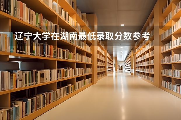 辽宁大学在湖南最低录取分数参考