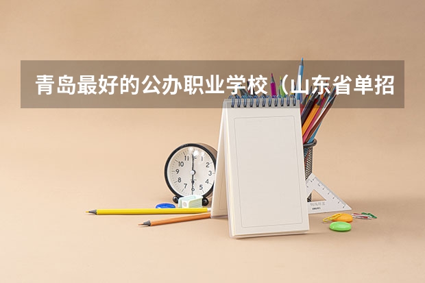 青岛最好的公办职业学校（山东省单招学校排名表）