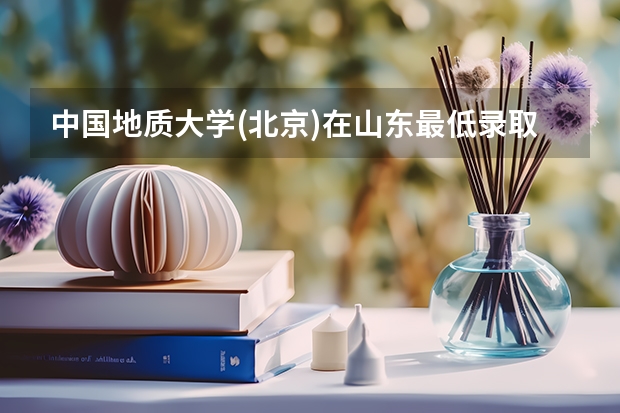 中国地质大学(北京)在山东最低录取分数参考