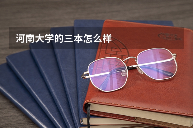 河南大学的三本怎么样