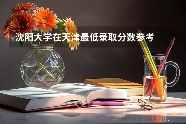 沈阳大学在天津最低录取分数参考