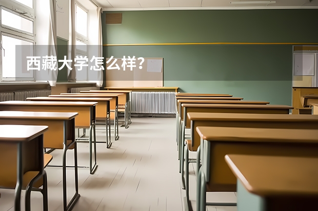 西藏大学怎么样？
