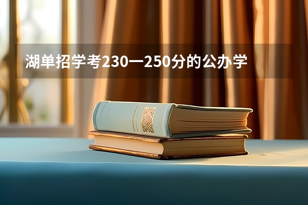 湖单招学考230一250分的公办学校有那些（长沙单招公办大专学校排名）