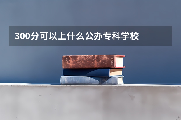 300分可以上什么公办专科学校