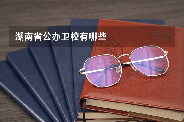 湖南省公办卫校有哪些