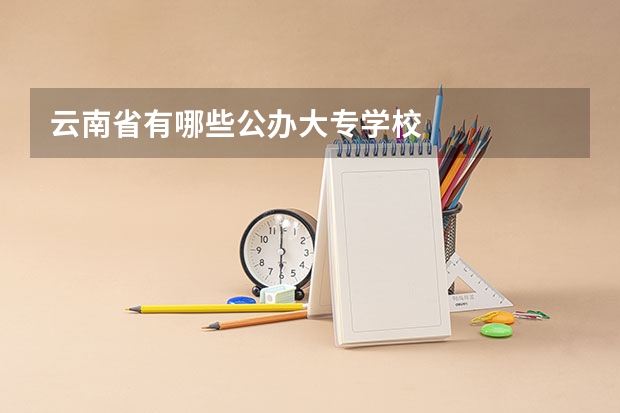 云南省有哪些公办大专学校