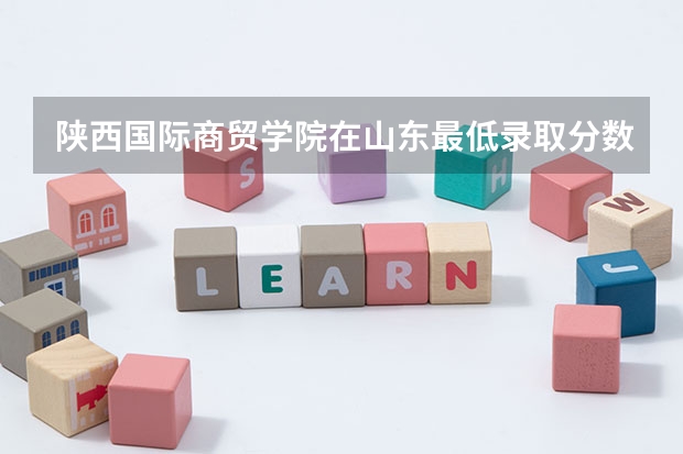 陕西国际商贸学院在山东最低录取分数参考