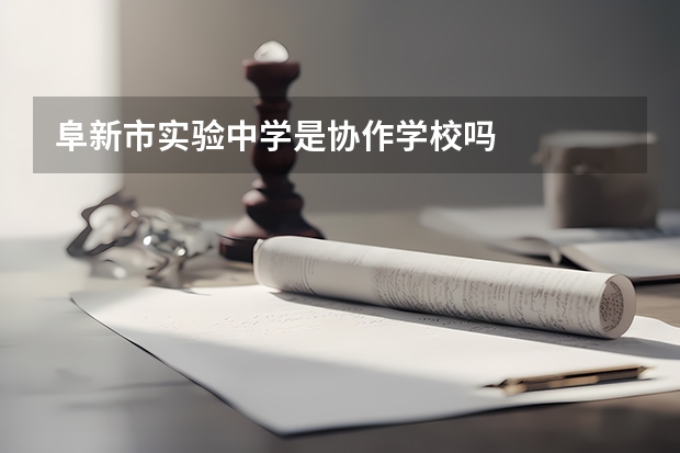 阜新市实验中学是协作学校吗