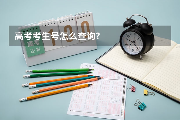 高考考生号怎么查询？