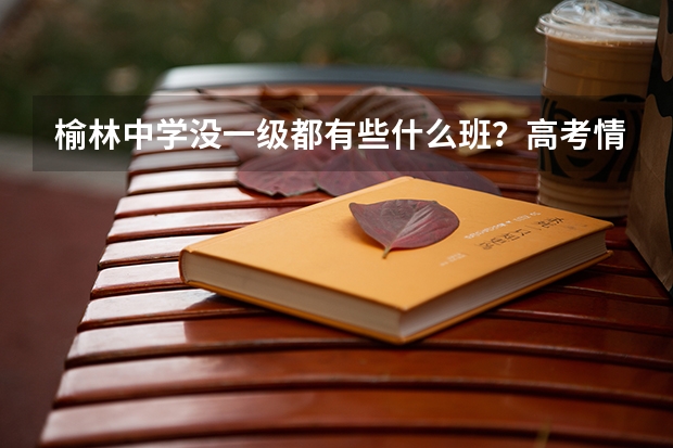 榆林中学没一级都有些什么班？高考情况是怎样的？今年中考的录取分数线估计多少？