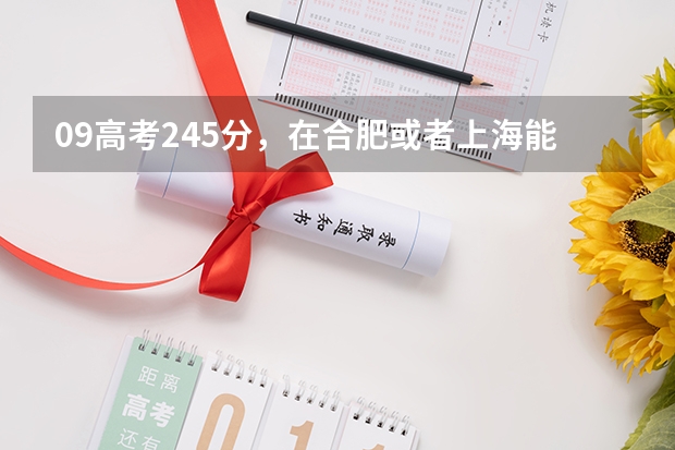 09高考245分，在合肥或者上海能上什么大专吗？
